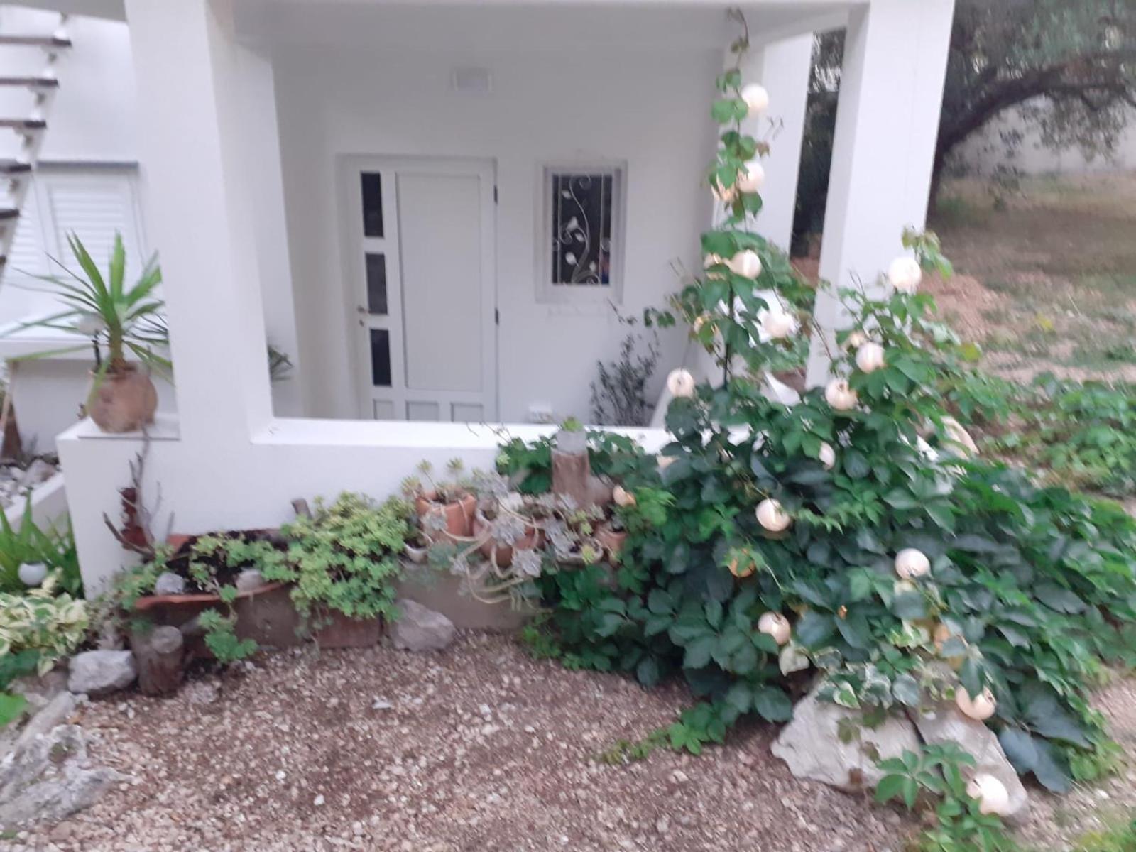 Villa Ana Makarska Rom bilde